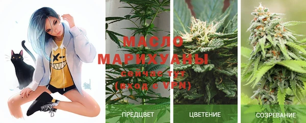 стафф Аркадак
