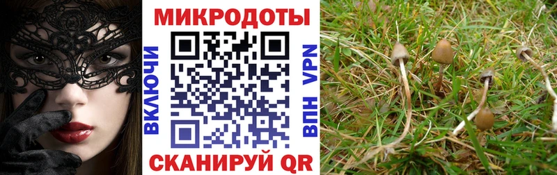 даркнет сайт  Геленджик  blacksprut зеркало  Псилоцибиновые грибы Psilocybine cubensis 